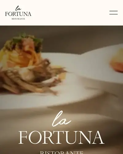 Entwurf der neuen Startseite von La Fortuna